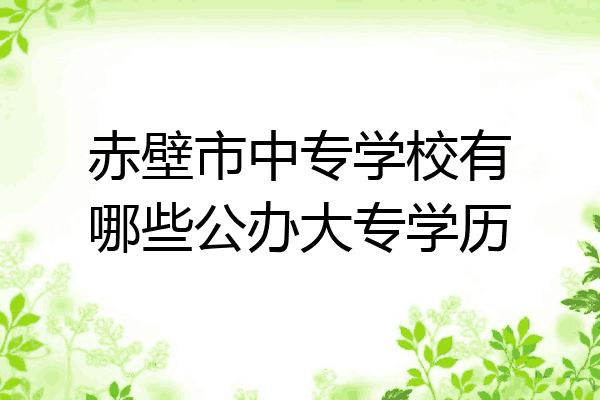 赤壁市中专学校有哪些公办大专学历
