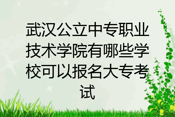 武汉公立中专职业技术学院有哪些学校可以报名大专考试