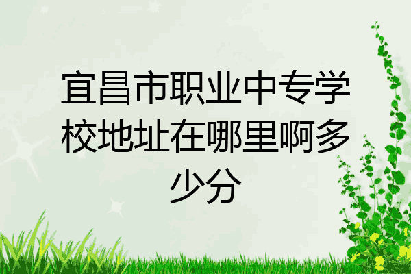 宜昌市职业中专学校地址在哪里啊多少分