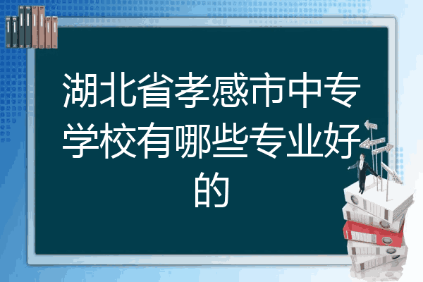 湖北省孝感市中专学校有哪些专业好的