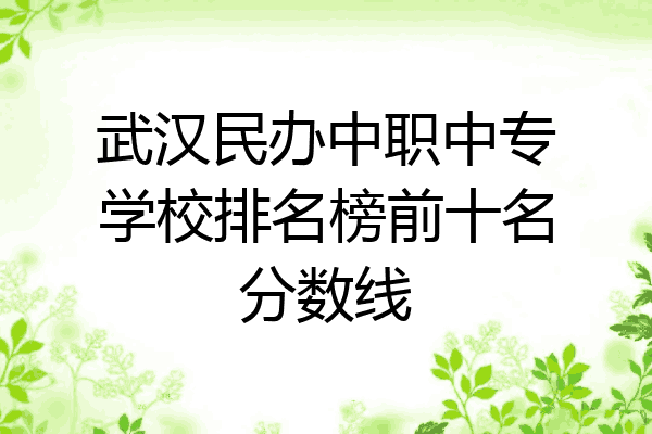 武汉民办中职中专学校排名榜前十名分数线