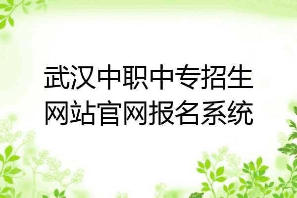 武汉中职中专招生网站官网报名系统