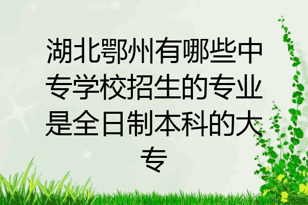 湖北鄂州有哪些中专学校招生的专业是全日制本科的大专