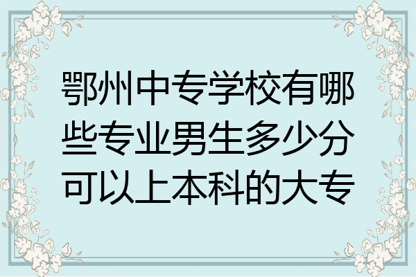 鄂州中专学校有哪些专业男生多少分可以上本科的大专