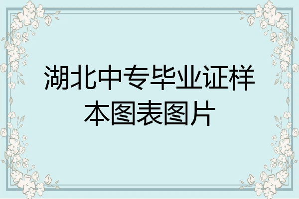 湖北中专毕业证样本图表图片