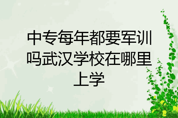 中专每年都要军训吗武汉学校在哪里上学