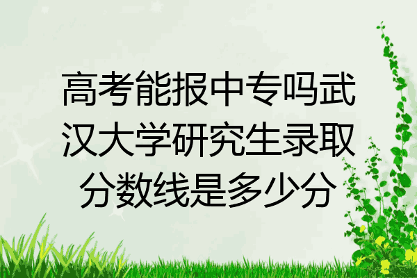 高考能报中专吗武汉大学研究生录取分数线是多少分
