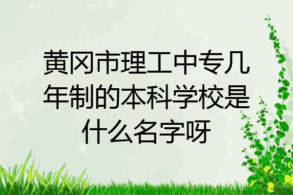 黄冈市理工中专几年制的本科学校是什么名字呀