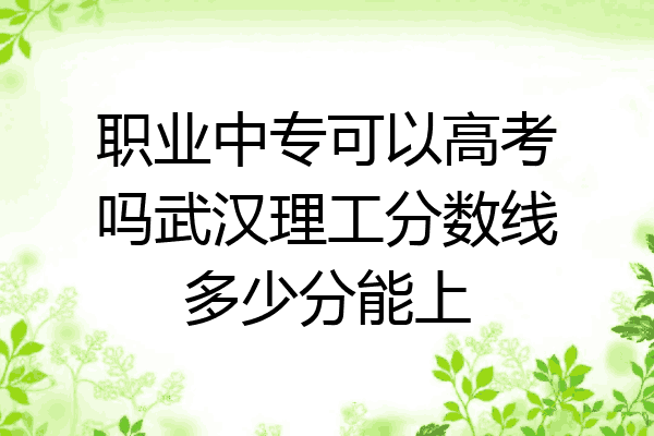 职业中专可以高考吗武汉理工分数线多少分能上