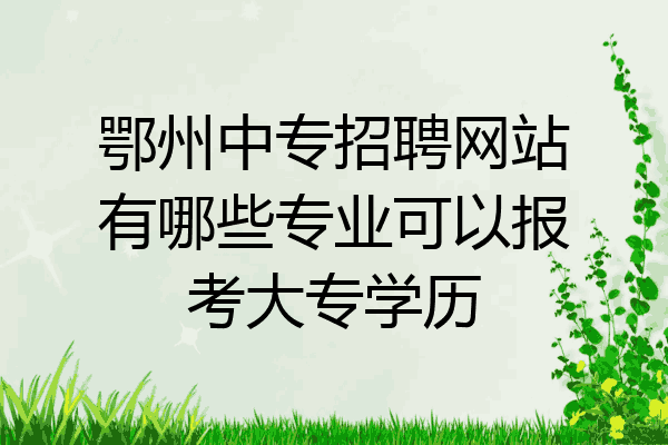 鄂州中专招聘网站有哪些专业可以报考大专学历