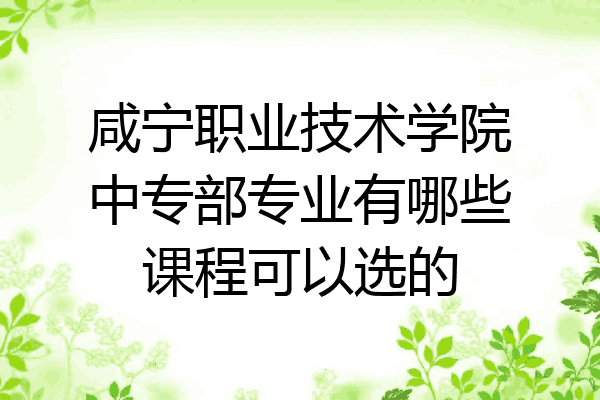 咸宁职业技术学院中专部专业有哪些课程可以选的
