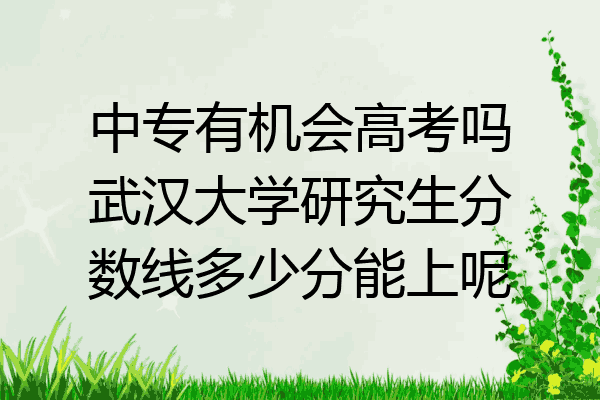 中专有机会高考吗武汉大学研究生分数线多少分能上呢