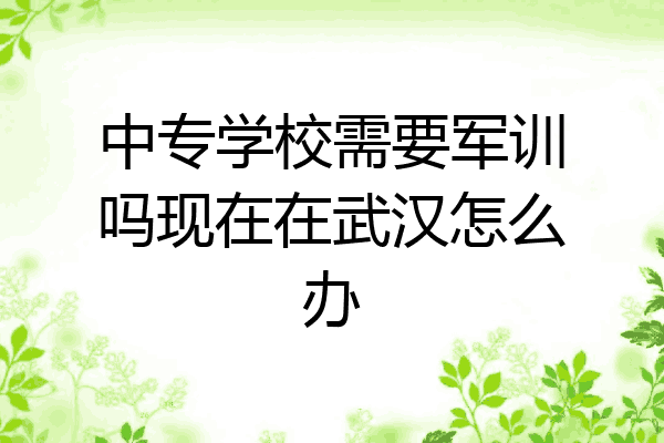 中专学校需要军训吗现在在武汉怎么办