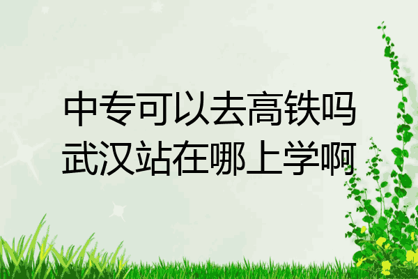 中专可以去高铁吗武汉站在哪上学啊