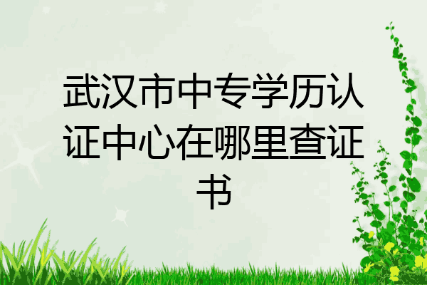 武汉市中专学历认证中心在哪里查证书