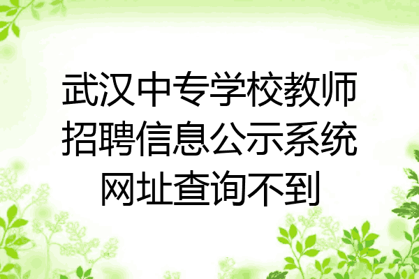 武汉中专学校教师招聘信息公示系统网址查询不到
