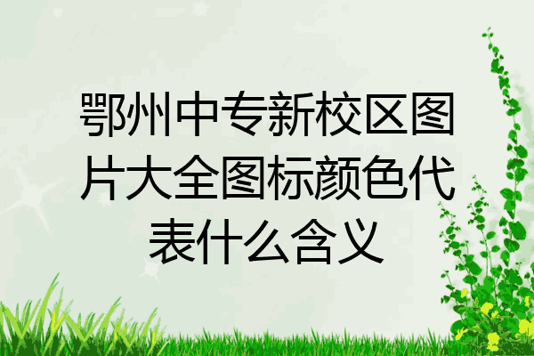 鄂州中专新校区图片大全图标颜色代表什么含义