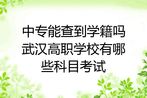 中专能查到学籍吗武汉高职学校有哪些科目考试