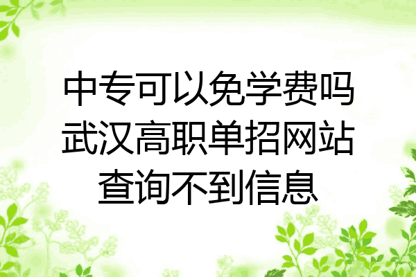 中专可以免学费吗武汉高职单招网站查询不到信息
