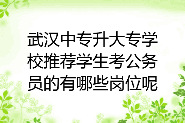 武汉中专升大专学校推荐学生考公务员的有哪些岗位呢
