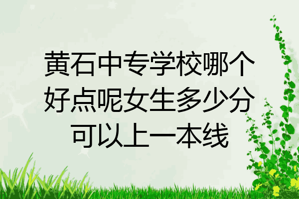 黄石中专学校哪个好点呢女生多少分可以上一本线