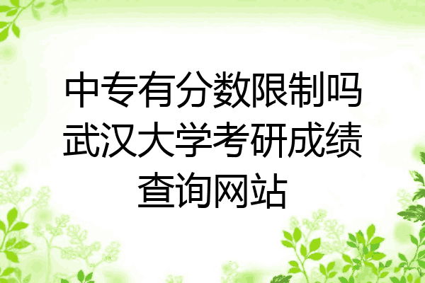中专有分数限制吗武汉大学考研成绩查询网站