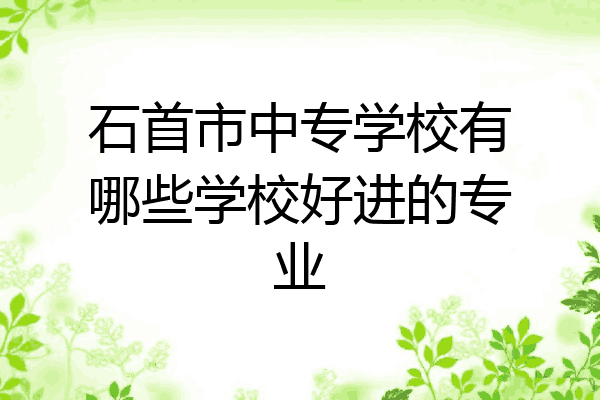 石首市中专学校有哪些学校好进的专业