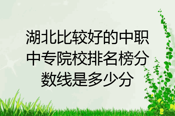 湖北比较好的中职中专院校排名榜分数线是多少分
