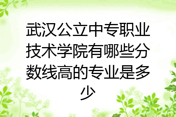 武汉公立中专职业技术学院有哪些分数线高的专业是多少