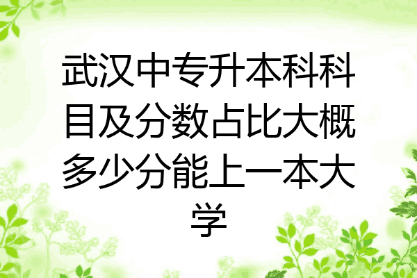 武汉中专升本科科目及分数占比大概多少分能上一本大学