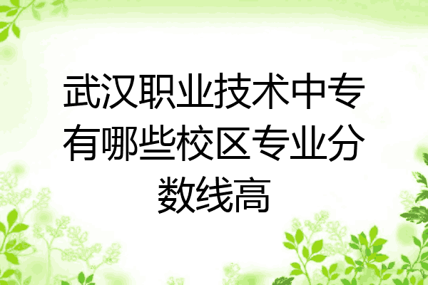 武汉职业技术中专有哪些校区专业分数线高