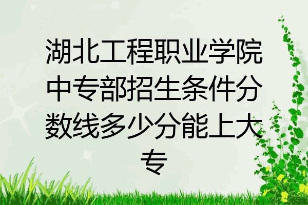 湖北工程职业学院中专部招生条件分数线多少分能上大专