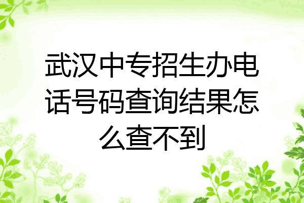 武汉中专招生办电话号码查询结果怎么查不到