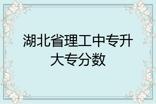 湖北省理工中专升大专分数