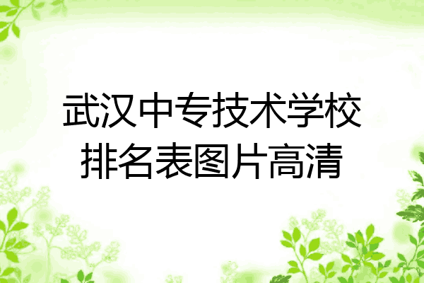 武汉中专技术学校排名表图片高清