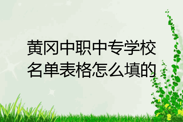 黄冈中职中专学校名单表格怎么填的