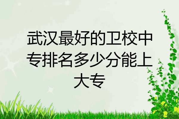 武汉最好的卫校中专排名多少分能上大专