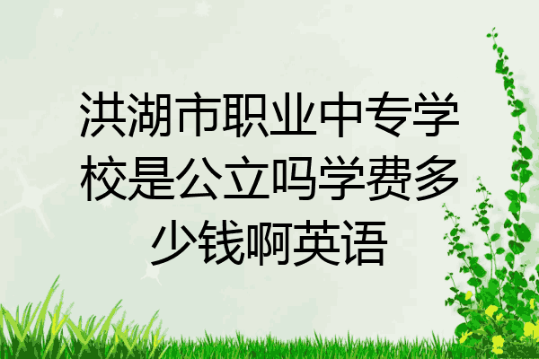 洪湖市职业中专学校是公立吗学费多少钱啊英语