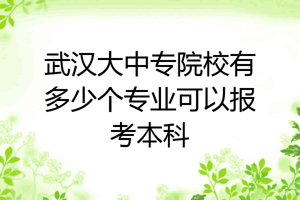 武汉大中专院校有多少个专业可以报考本科