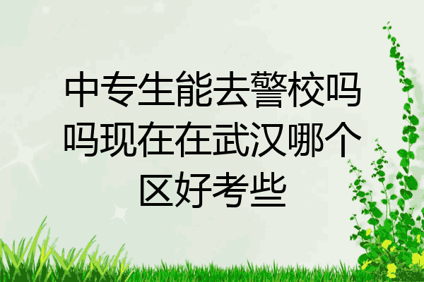 中专生能去警校吗吗现在在武汉哪个区好考些