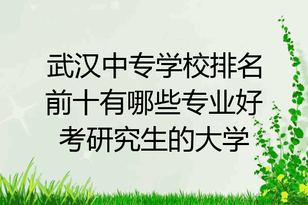 武汉中专学校排名前十有哪些专业好考研究生的大学