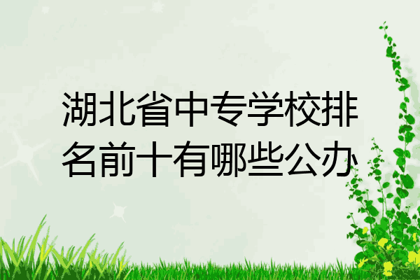 湖北省中专学校排名前十有哪些公办