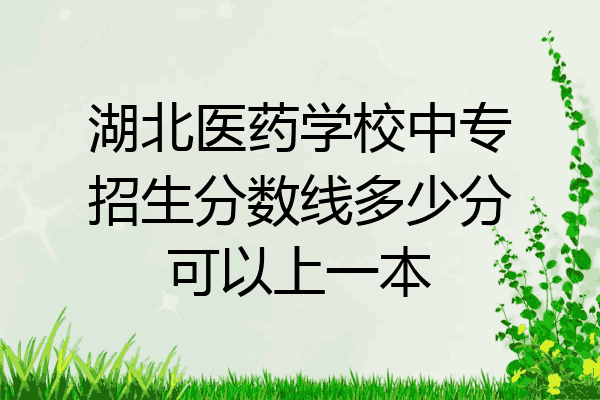 湖北医药学校中专招生分数线多少分可以上一本