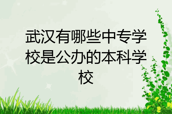 武汉有哪些中专学校是公办的本科学校
