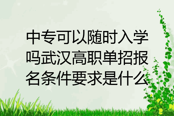 中专可以随时入学吗武汉高职单招报名条件要求是什么