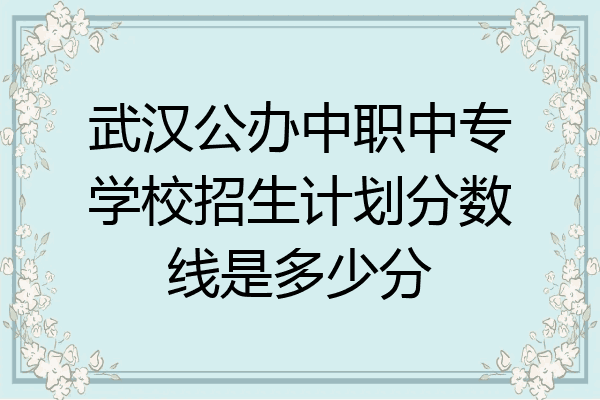 武汉公办中职中专学校招生计划分数线是多少分