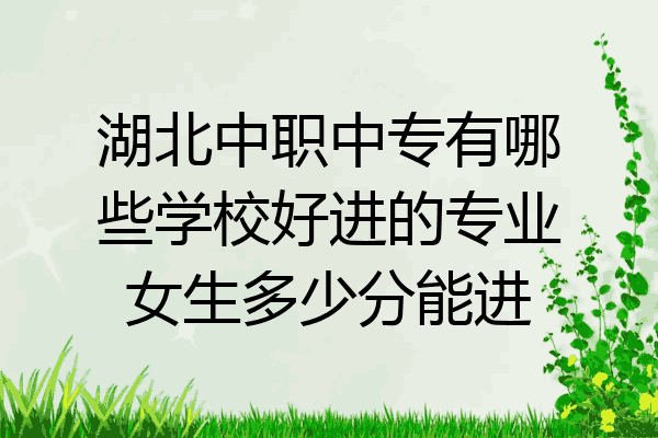 湖北中职中专有哪些学校好进的专业女生多少分能进