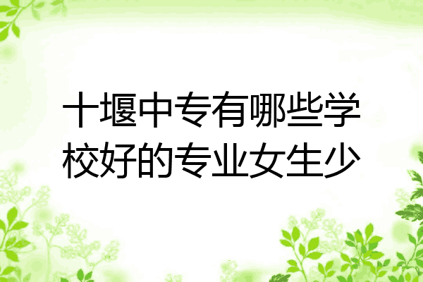 十堰中专有哪些学校好的专业女生少
