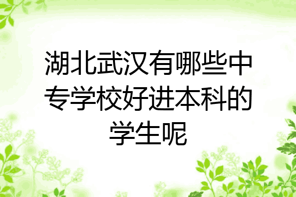 湖北武汉有哪些中专学校好进本科的学生呢
