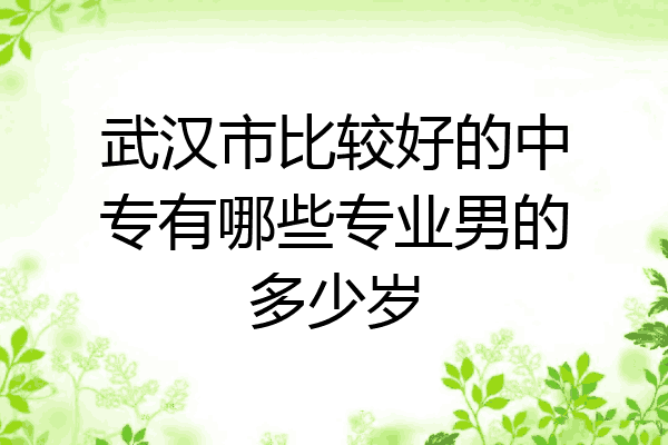 武汉市比较好的中专有哪些专业男的多少岁